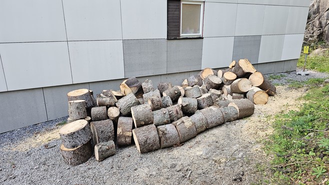 2024-08-13 19.39.17.jpg